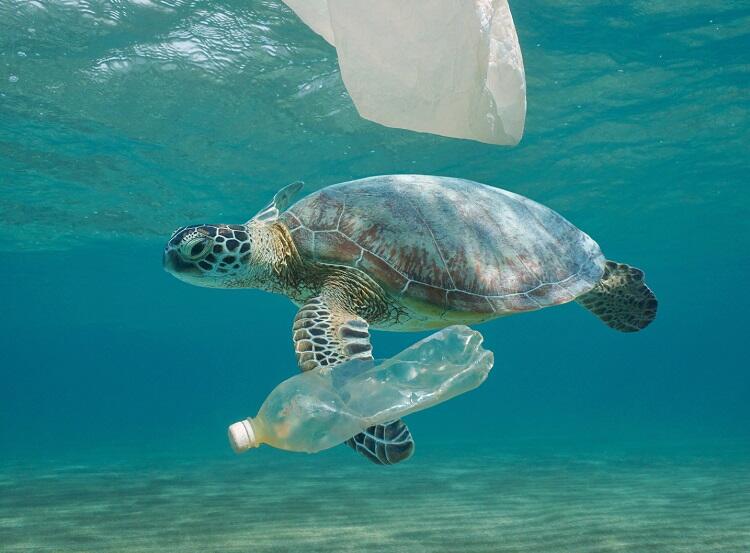 Qual o tempo de decomposição dos resíduos no oceano?